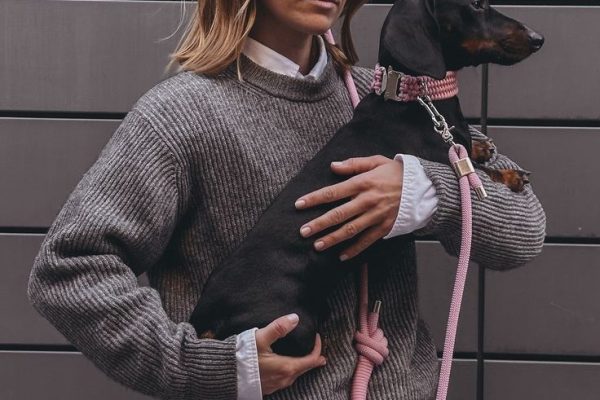 cool dog leashes