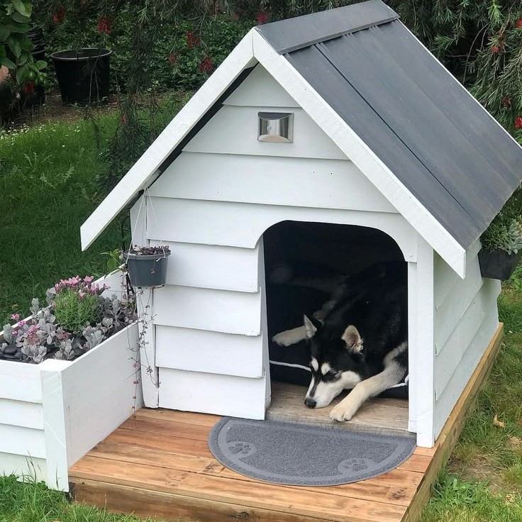insulated dog house