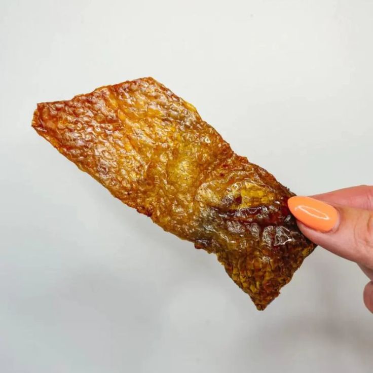 salmon skin dog treats