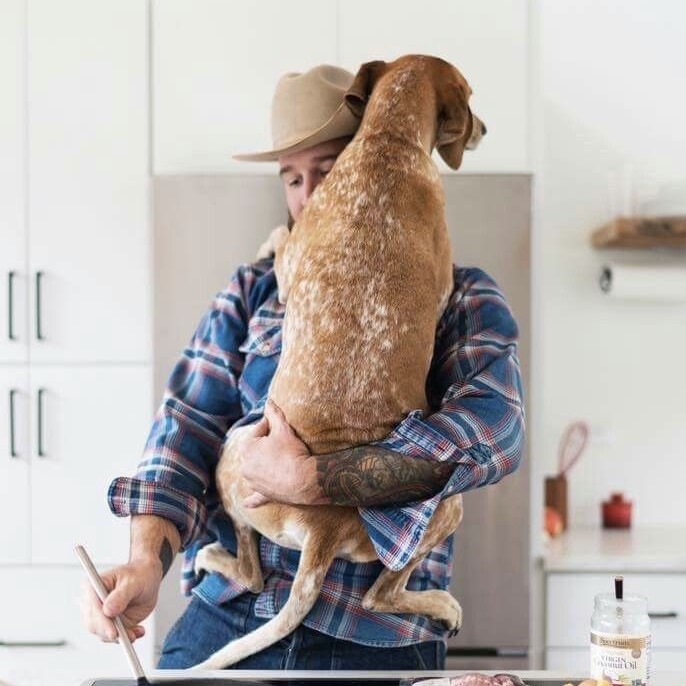 pet antibiotics
