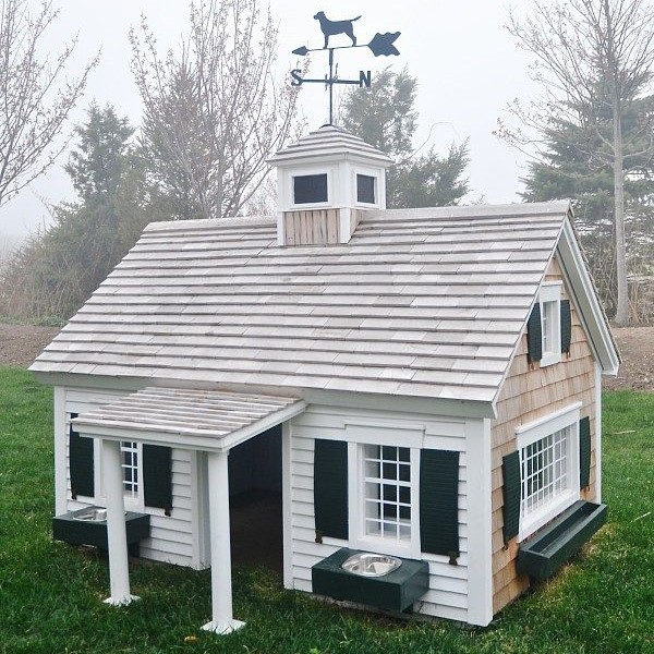 dog houses for large dogs