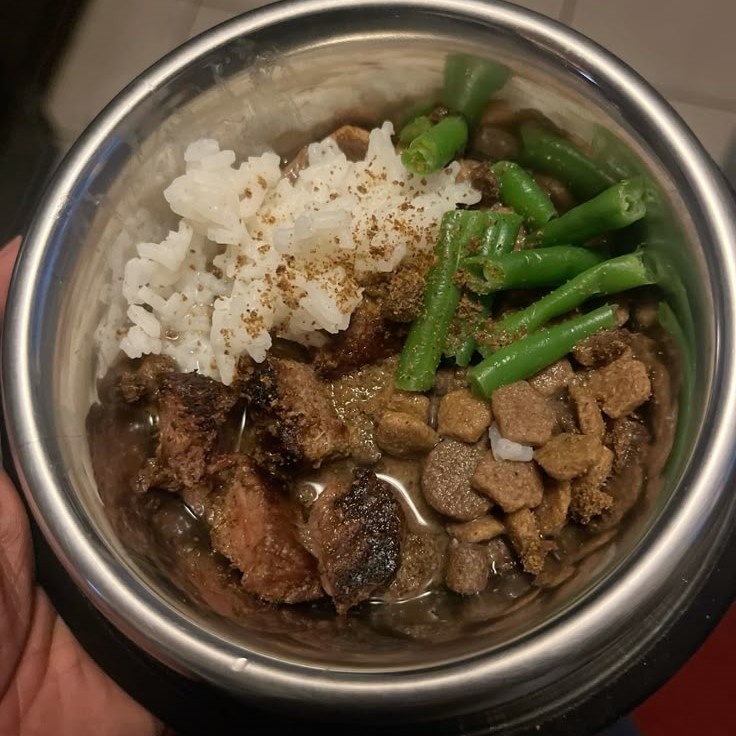 dog food for dry skin