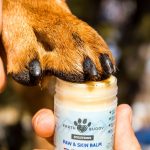 dog skin moisturizer