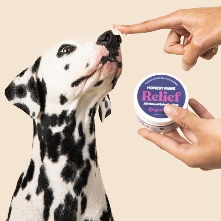 dog skin moisturizer