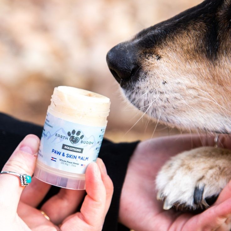 dog skin moisturizer