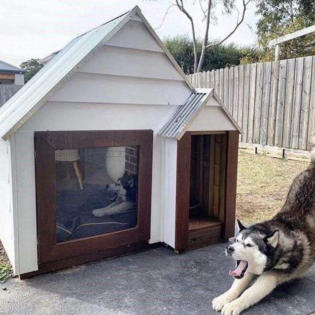 insulated dog house