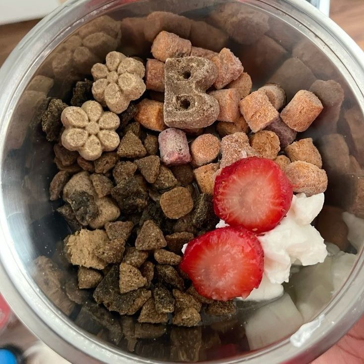 dog food for dry skin