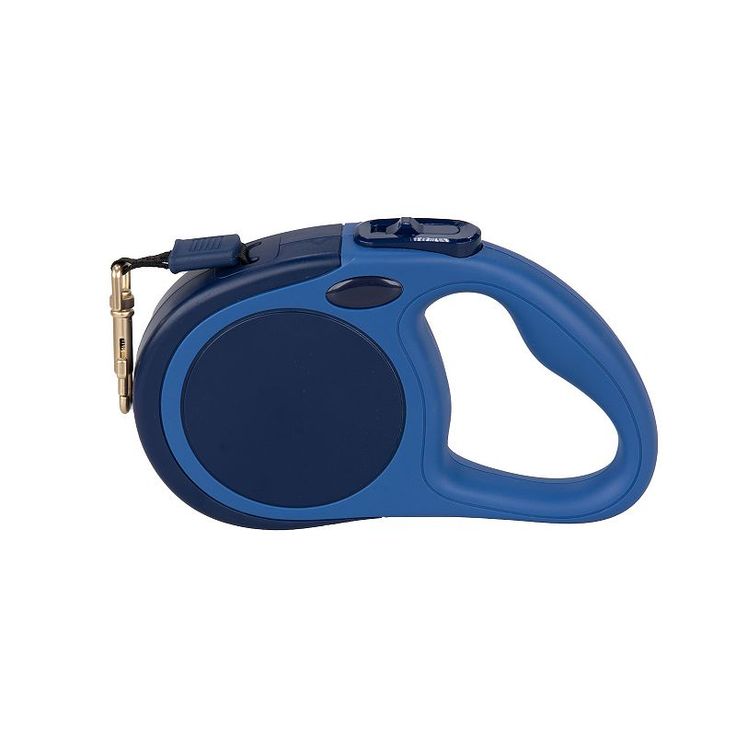 slip leash for dogs