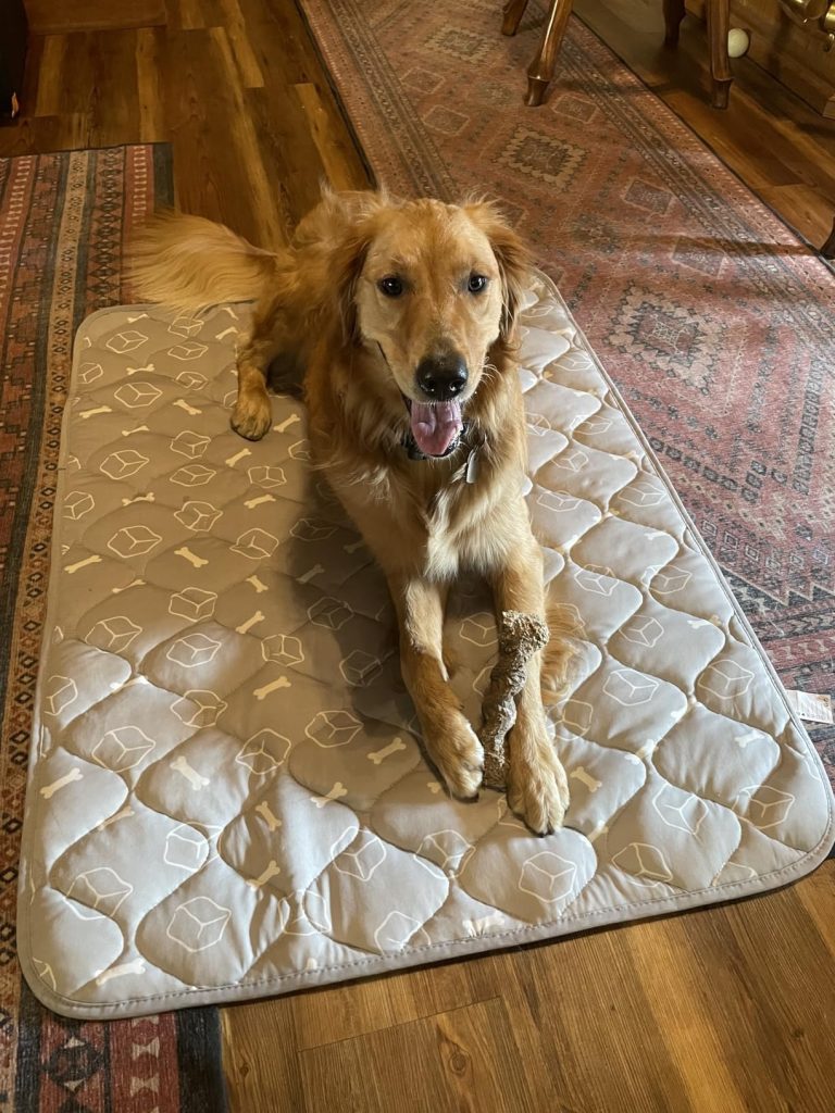 canine cooling mat