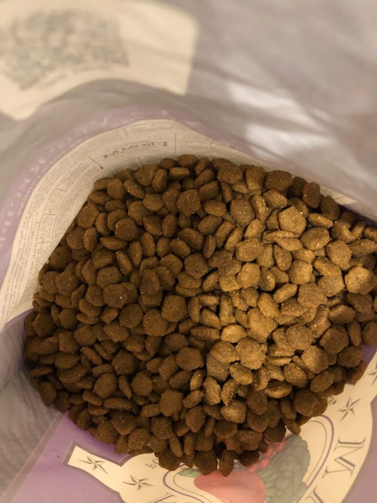 salmon dog food
