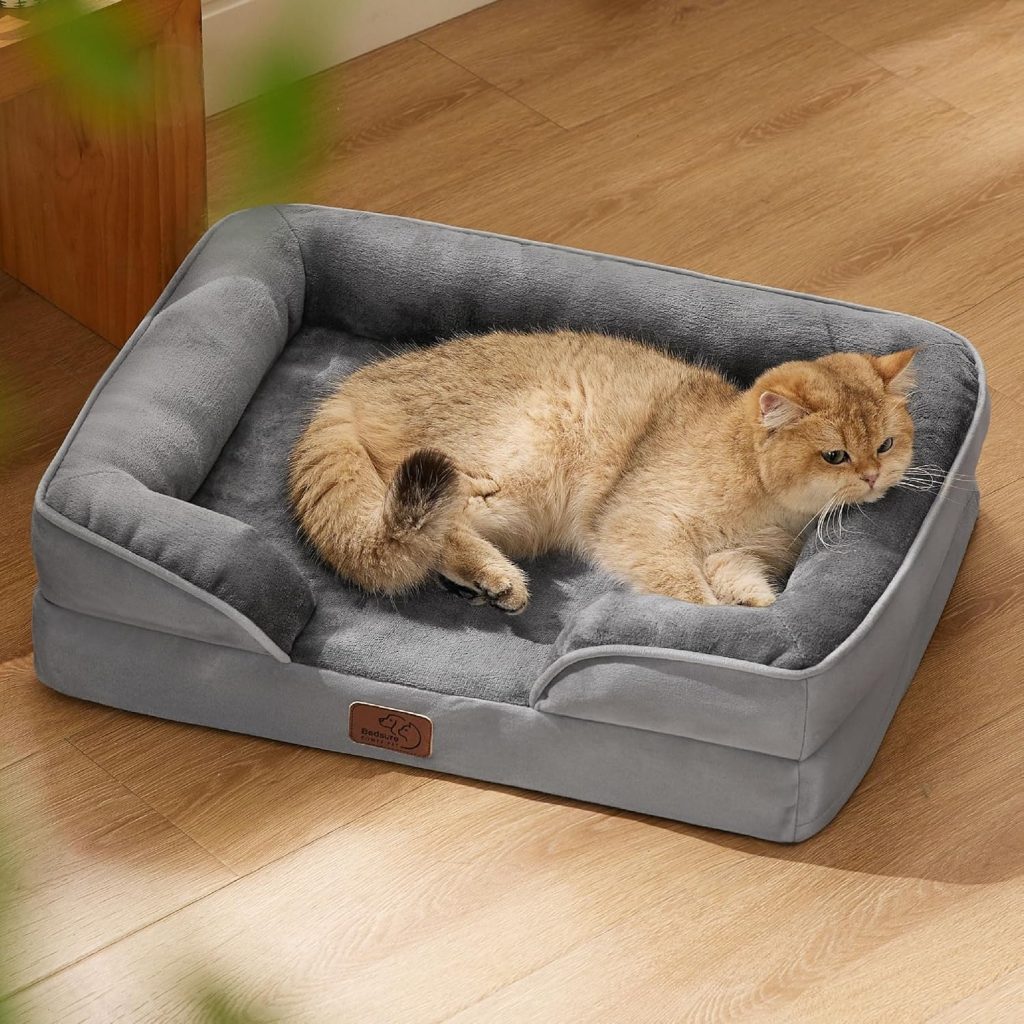 orthopedic dog bed