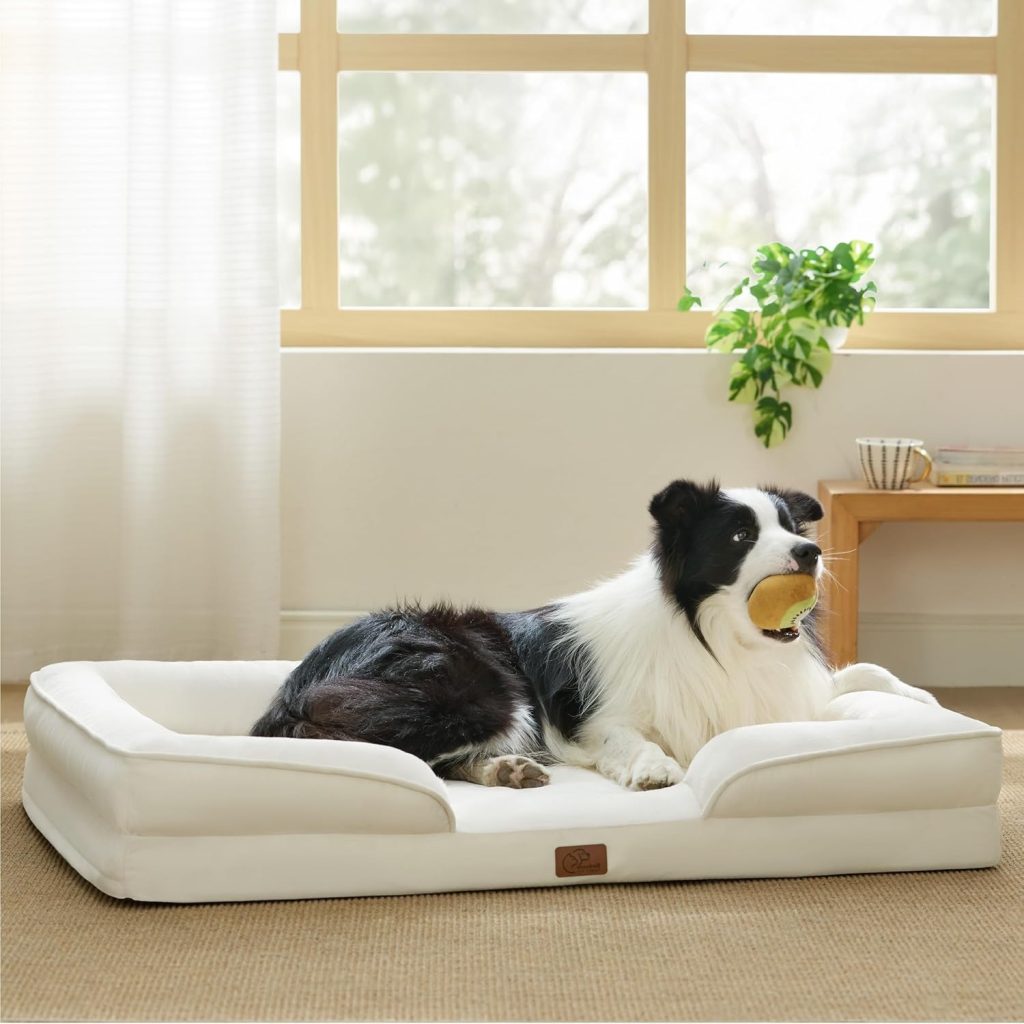 orthopedic dog bed