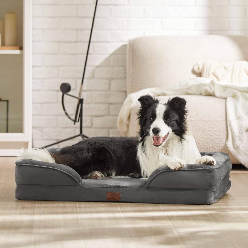 orthopedic dog bed