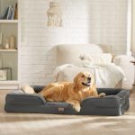 Orthopedic Dog Bed: Essential for Pet’s Joint Health & Comfort orthopedic dog bed