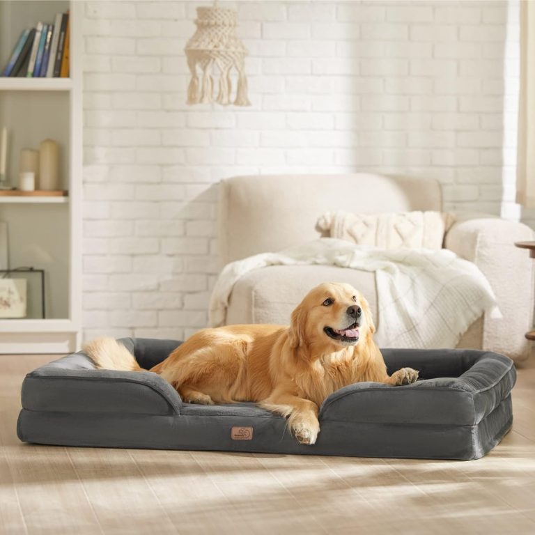 orthopedic dog bed
