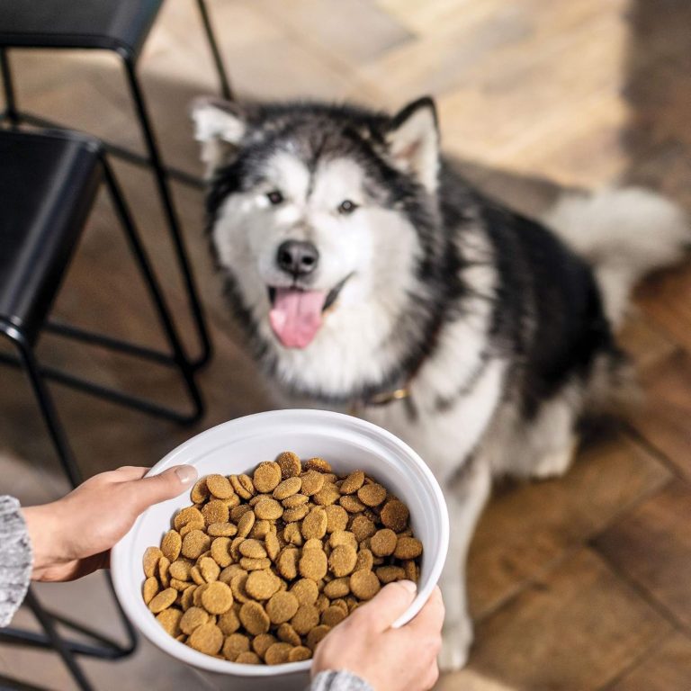hypoallergenic dog food